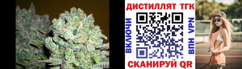 ТГК Wax  Ливны 
